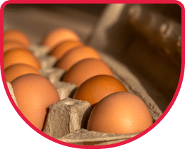dozen organic, free-range eggs, brown shell