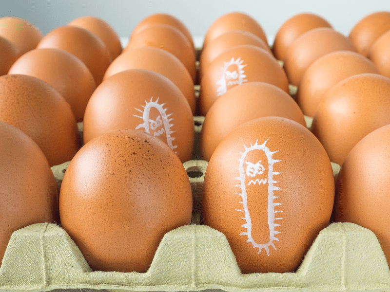 eggs with bacteria drawn on it