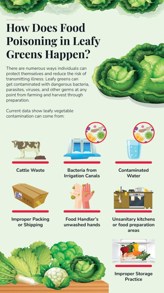 leafy greens food poisoning infographic