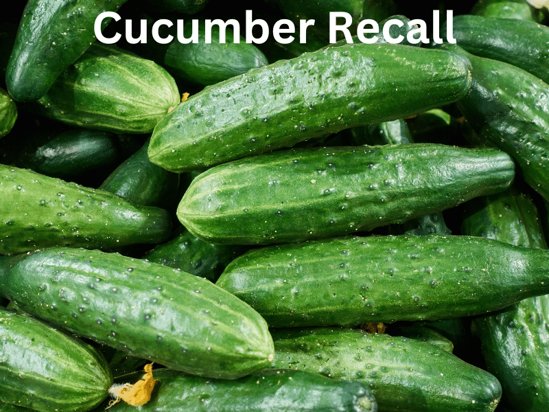 batch of cucumbers with recall text