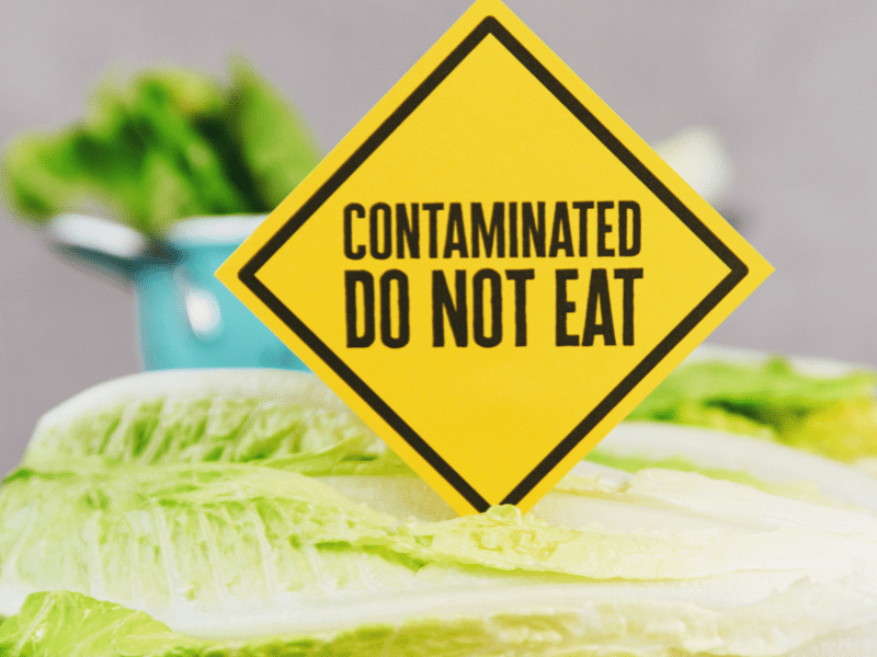 Contaminated lettuce with a warning sign