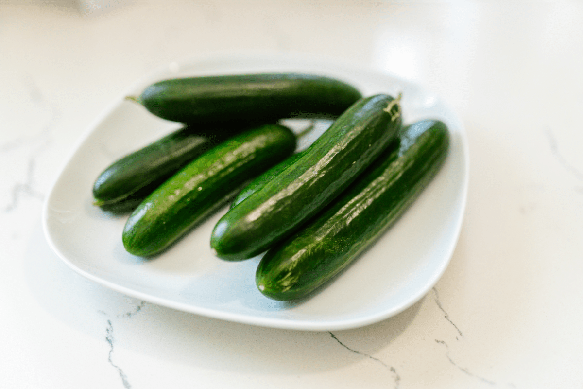 5 whole cucumber in a white ceramic plate